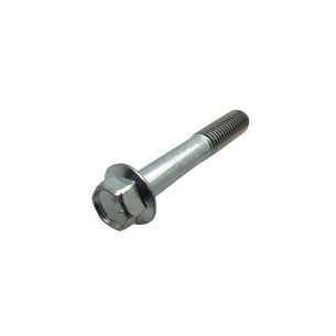 LOMBARDINI SCREW ED0017702250-S