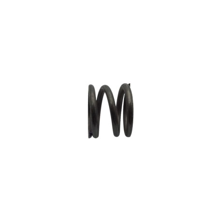MOLA DE EMBREAGEM LOMBARDINI ED0055900260-S