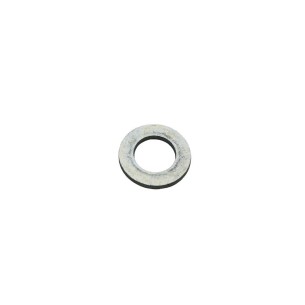 ARRUELA LOMBARDINI ED00771R0110-S