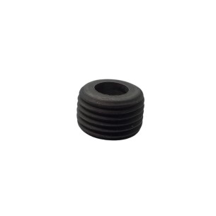 LOMBARDINI-SCHRAUBE ED00999R0200-S