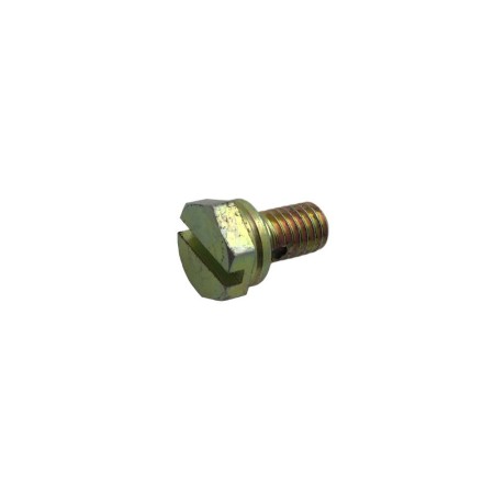 LOMBARDINI RACORD SCHRAUBE ED0015700560-S