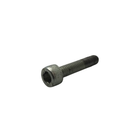 PARAFUSO LOMBARDINI ED00992R0580-S