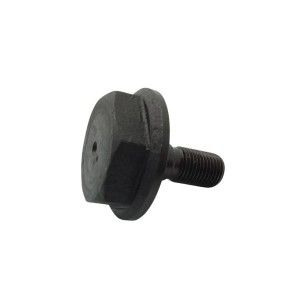 LOMBARDINI KURBELWELLENSCHRAUBE 4LD, 7LD, 25LD METRISCH 14mm