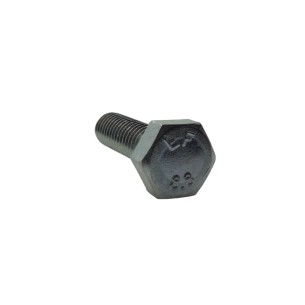 SCREW M 10X1.5X30 LOMBARDINI ED0017800060-S
