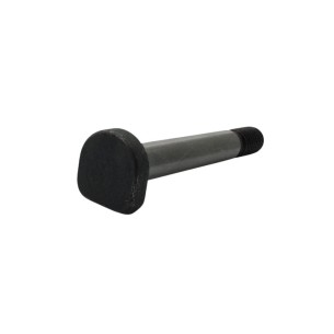 TORNILLO LOMBARDINI ED0018600070-S