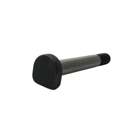 TORNILLO LOMBARDINI ED0018600070-S