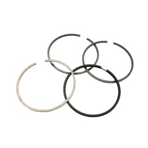LOMBARDINI SEGMENT-SET ED0022760000-S