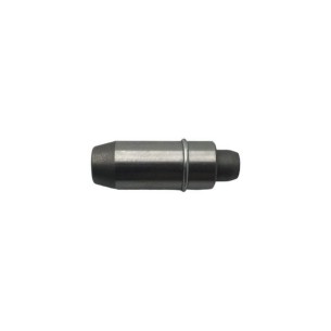 GUIDE DE SOUPAPE LOMBARDINI ED00464R0760-S