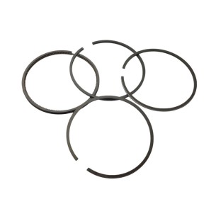LOMBARDINI SEGMENT-SET ED0022750000-S