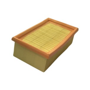 FILTRE LOMBARDINI ED00359A1310-S