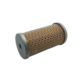 LOMBARDINI FILTER ED00175A1020-S