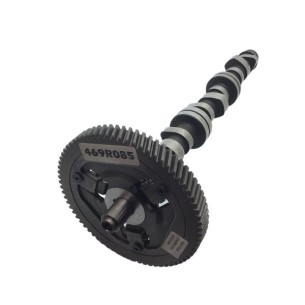 ENGRENAGEM LOMBARDINI ED00469R0850-S