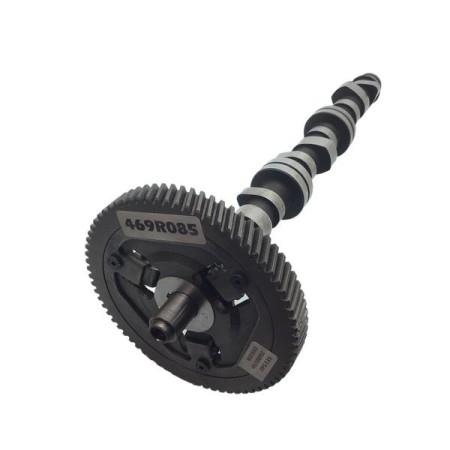 LOMBARDINI ED00469R0850-S