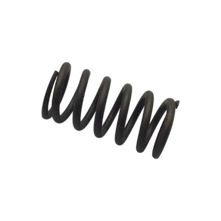 LOMBARDINI SPRING ED0057550760-S