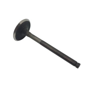 LOMBARDINI EXHAUST VALVE: 12LD477-2
