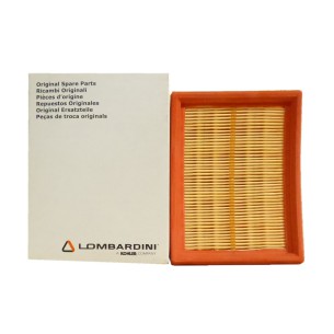 FILTRO AIRE LOMBARDINI 1IM