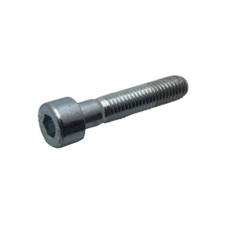SCREW M 8 X 40 LOMBARDINI ED0097300310-S