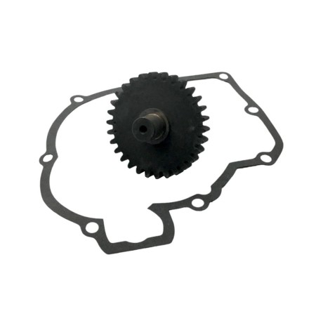 PIÑON LEVA INYECCION MINSEL M380, M430, M540, M600, RUGGERINI RF80, RF90, RF100, RF120, RF140