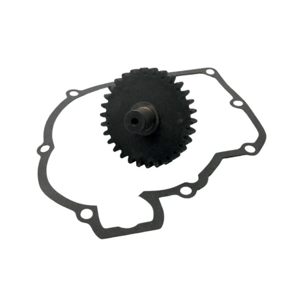 PIÑON LEVA INYECCION MINSEL M380, M430, M540, M600, RUGGERINI RF80, RF90, RF100, RF120, RF140