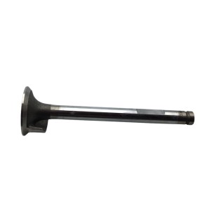 MINSEL RUGGERINI EINLASSVENTIL 30,5x9x105 DEFLEKTOR
