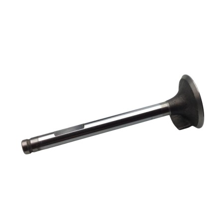 VALVULA ADMISION MINSEL RUGGERINI 36.5X9X105 DEFLECTOR