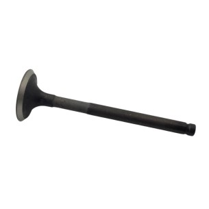 MINSEL RUGGERINI AUSPUFFVENTIL 30x95x7mm