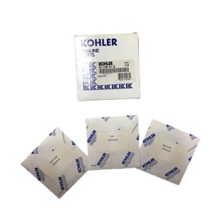 KOHLER SH265 JEU DE SEGMENTS STD