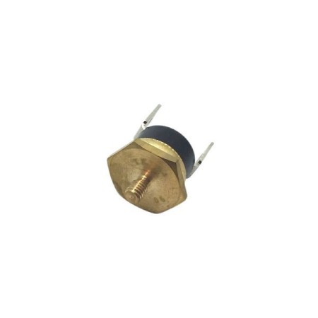 PROTECTEUR THERMIQUE SYNCHRO 106597