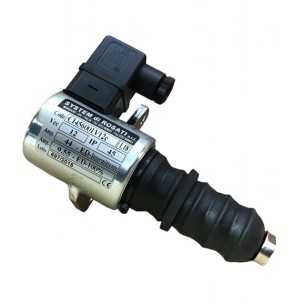 ELECTROMAGNET WM 33012019G
