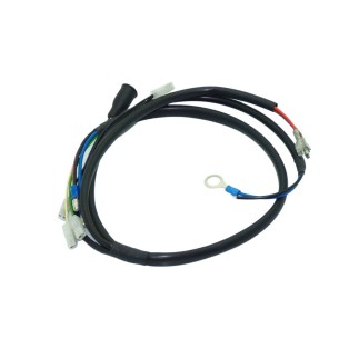 Cableado Lombardini ED0021855600-S