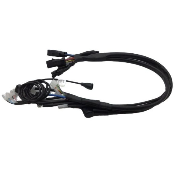 Lombardini Cable ED0021862730-S