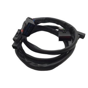Cableado Lombardini ED0021862750-S
