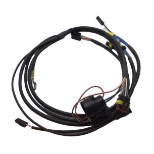 Cableado Lombardini ED0021863080-S