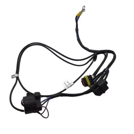 Cableado Lombardini ED0021864190-S