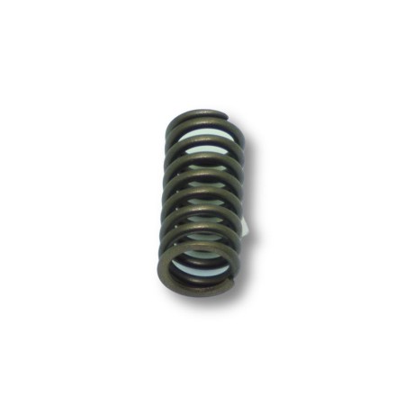 Spring Lombardini ED0056250020-S