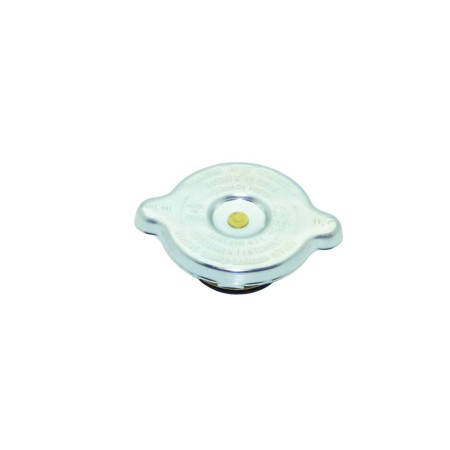 Erweiterungsglaskappe-Lombardini Wasserheizkörper LDW 1503,LDW 1603,LDW 2004,LDW 2204,LDW 1003,LDW 1204,LDW 1