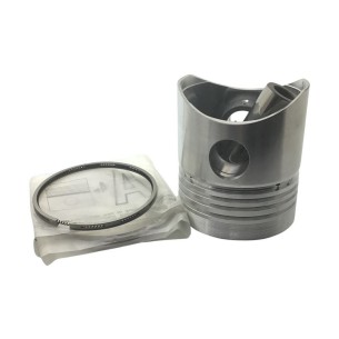 Piston +1.00 Lombardini 4LD640