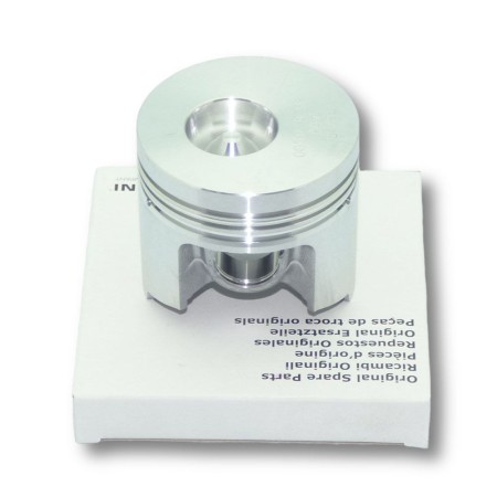 Piston +1,00 Lombardini 15LD225