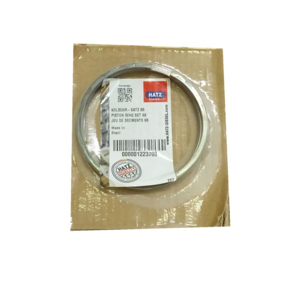 Conjunto de segmento padrão Hatz 1D60.26 2G30.17