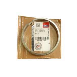 Jeu de segments Hatz std 1D80.24 1D81.19-20-21-24