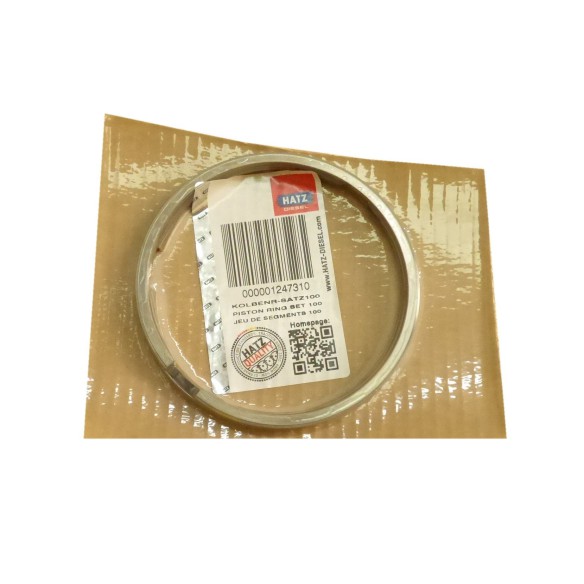 Jeu de segments standard Hatz 1D81.25