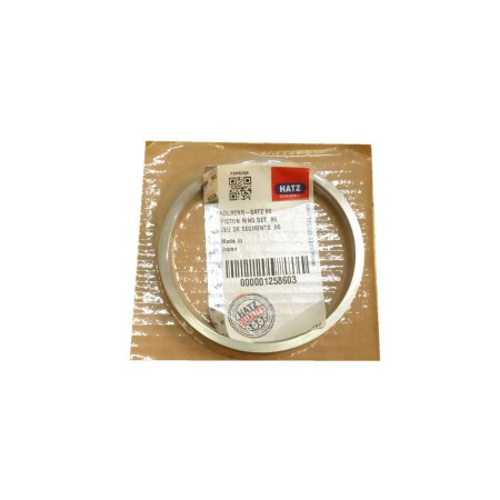 Juego segmentos std Hatz 1D30.18 1D31.16 1D40.19