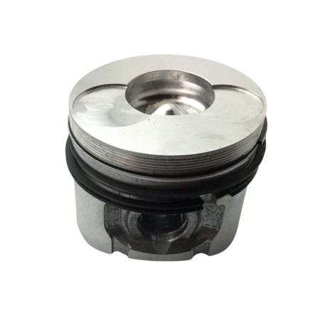 Pistão padrão Hatz 1B20.31
