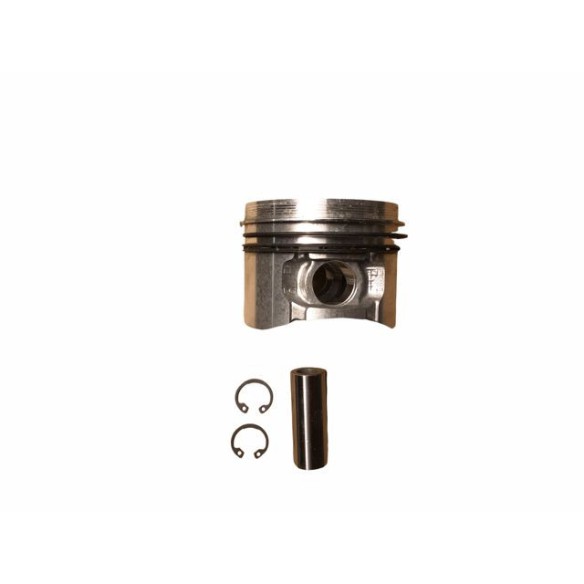 Piston standard Hatz 1B20.31
