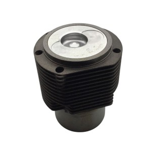 Equipo motor Hatz l/M 41.13