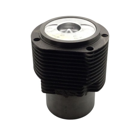 Equipo motor Hatz l/M 42.10