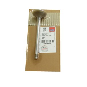 Valve intake Hatz 2M, 3M, 4M, 2L, 3L, 4L