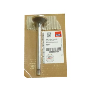 Válvula de escape Hatz 2M, 3M, 4M, 2L, 3L, 4L