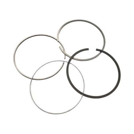 Conjunto de segmentos padrão Yanmar 4TNV106T