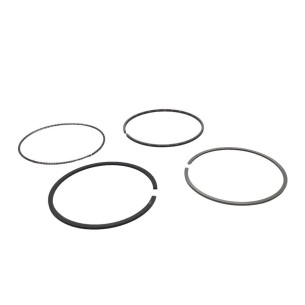 Yanmar 4TNE94 Standard-Segmentsatz